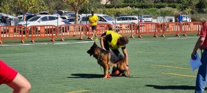Monográfica Comunidad Valenciana - Trust Resort Canino