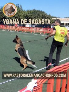 Monográfica Comunidad de Valencia 2021 Yoana de Sagasta
