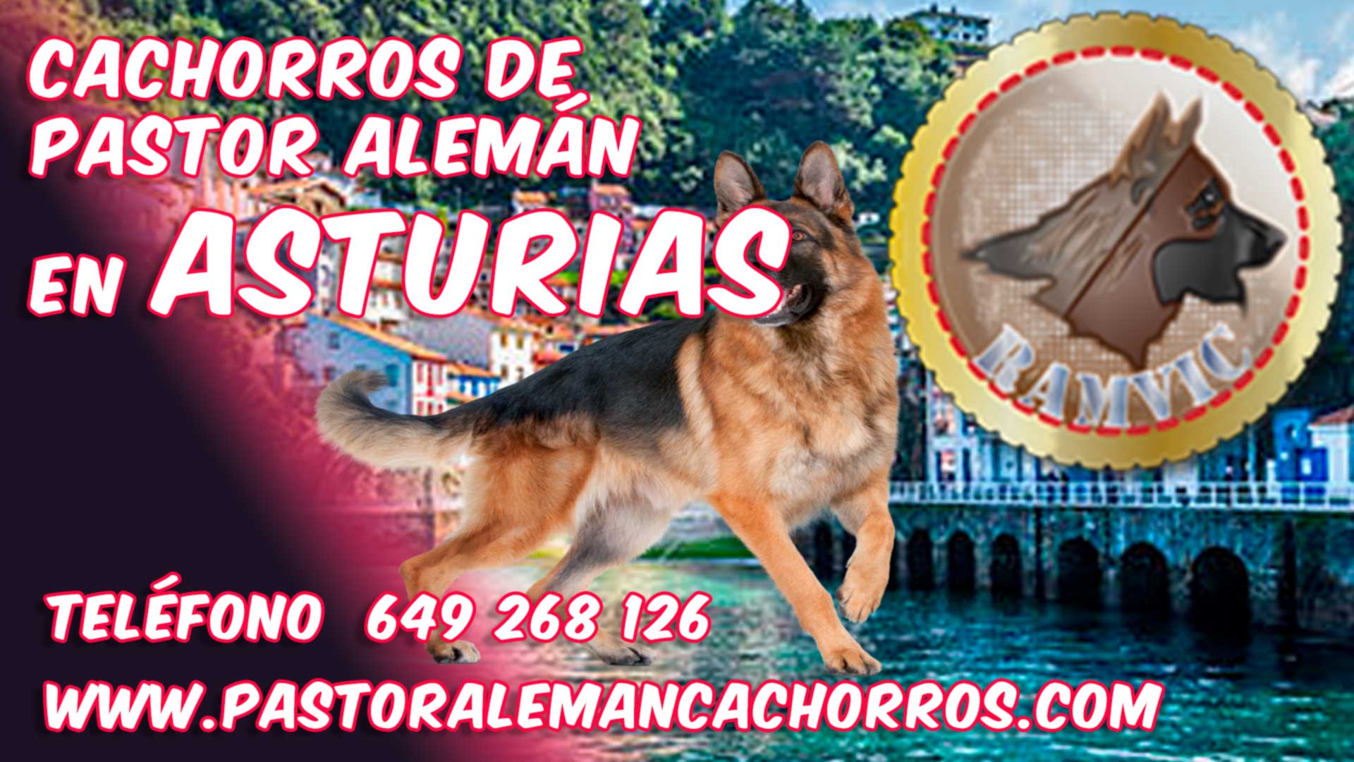 Comprar cachorro pastor aleman ASturias