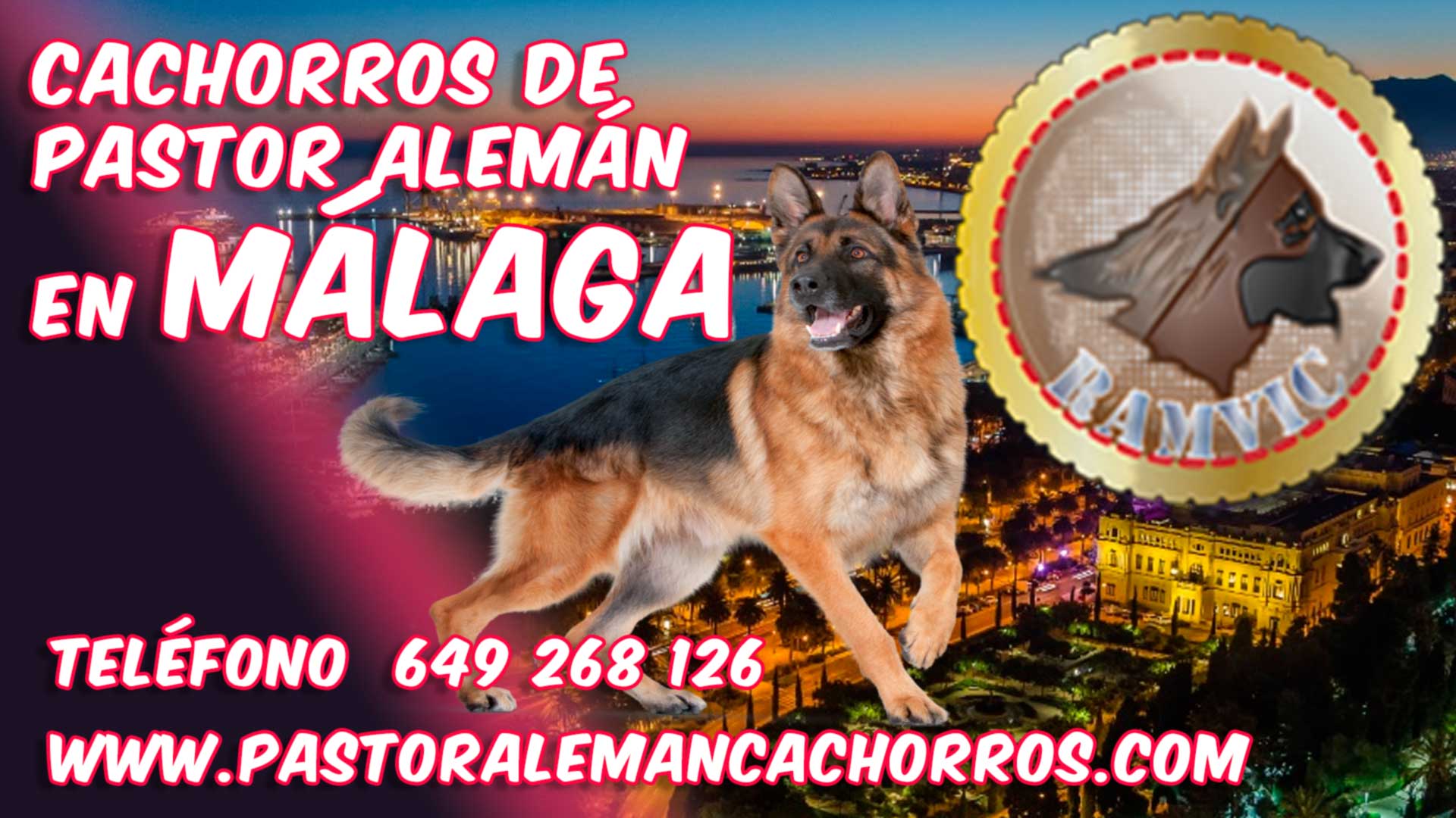 Comprar cachorro pastor aleman Malaga