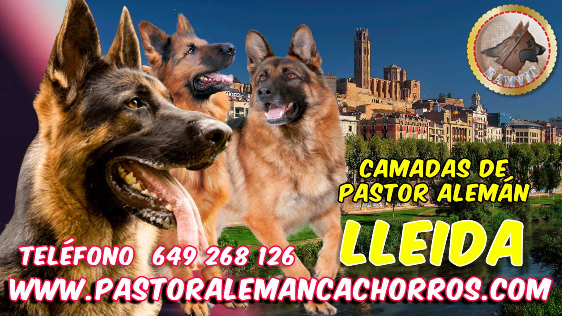 Comprar cachorro pastor aleman en Lleida