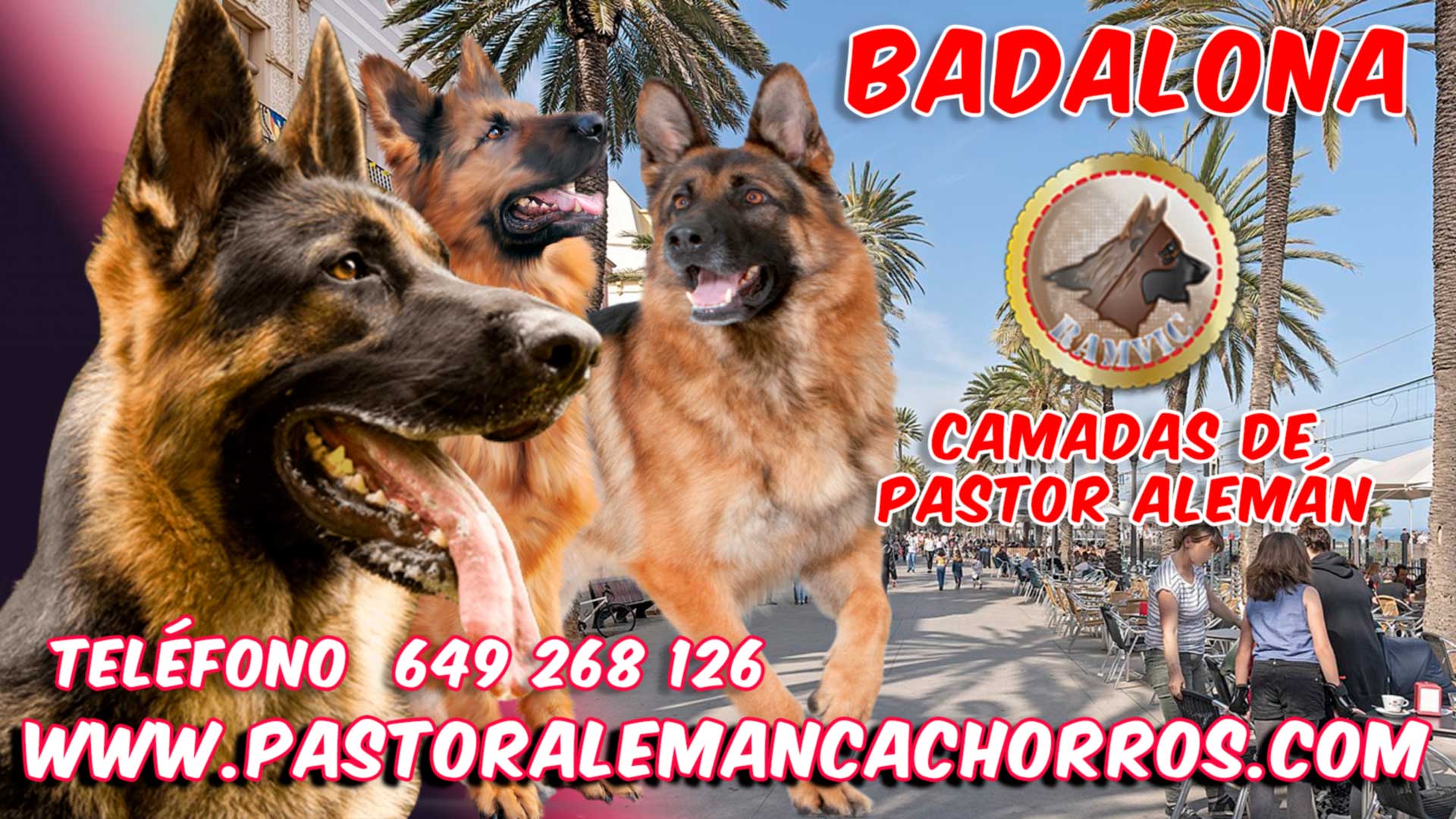 Comprar cachorro pastor aleman Badalona