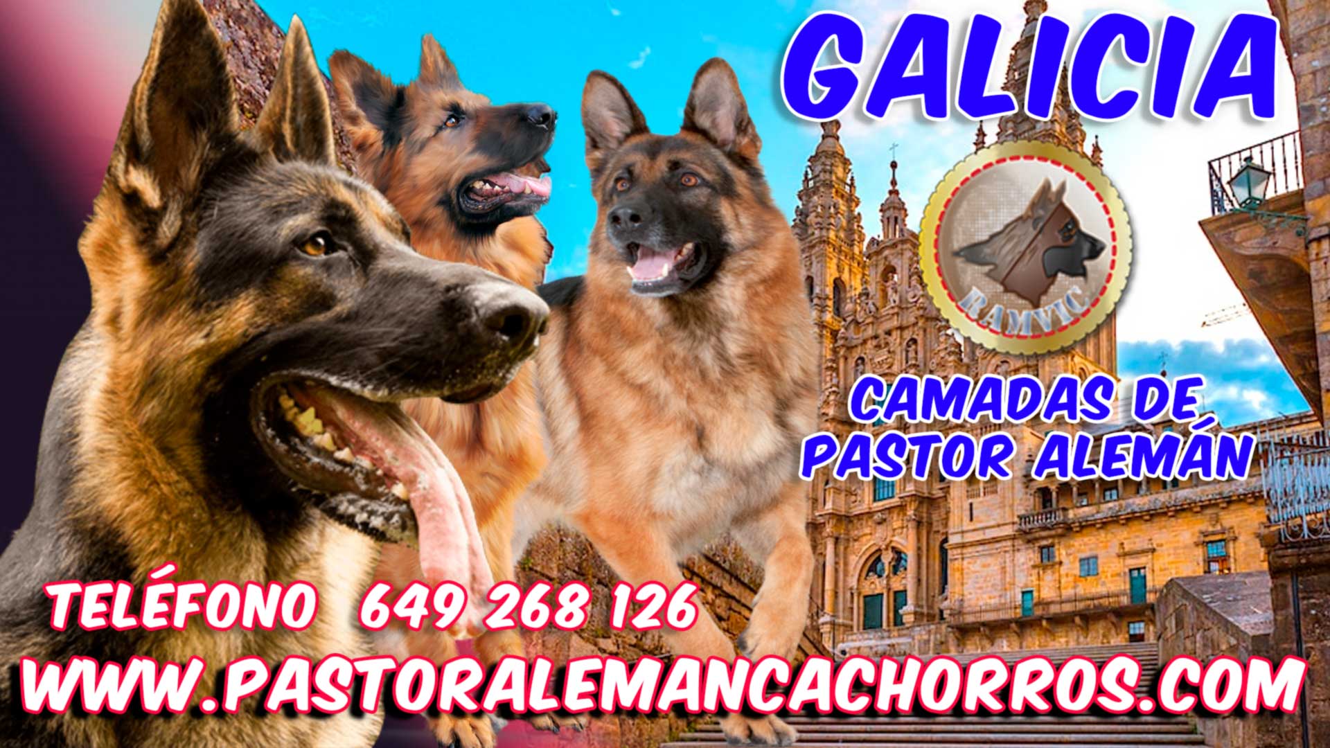 Comprar cachorro pastor aleman Galicia