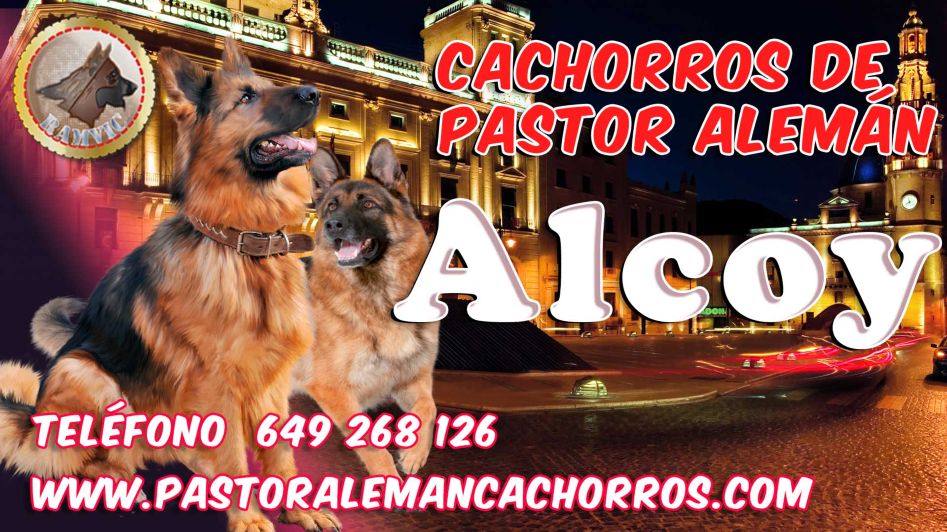 Comprar cachorros de Pastor Alemán en Alcoy