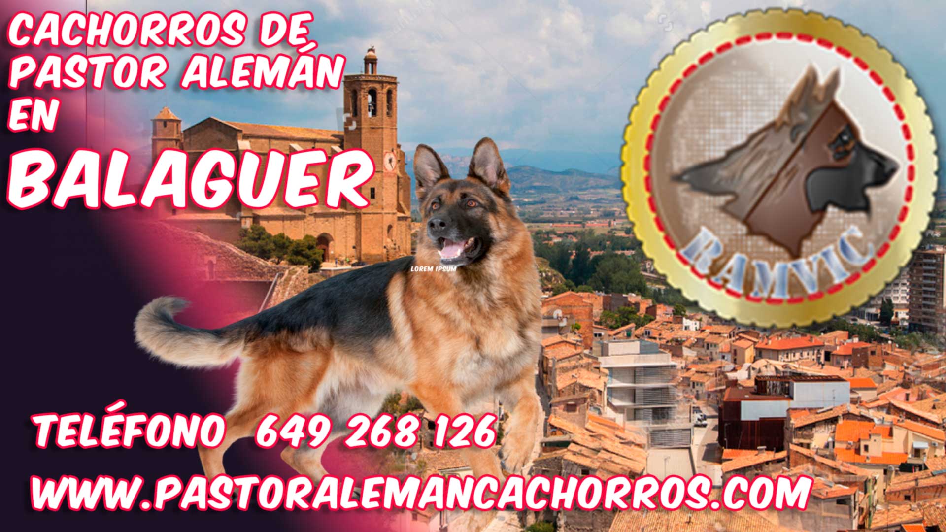 Comprar cachorros de Pastor Alemán en Balaguer