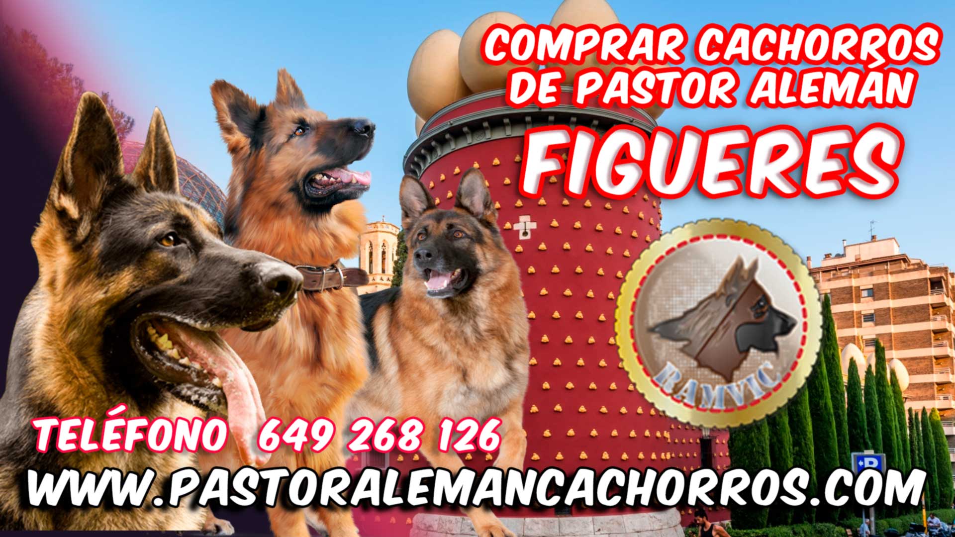 Comprar cachorros de Pastor Alemán en Figueres