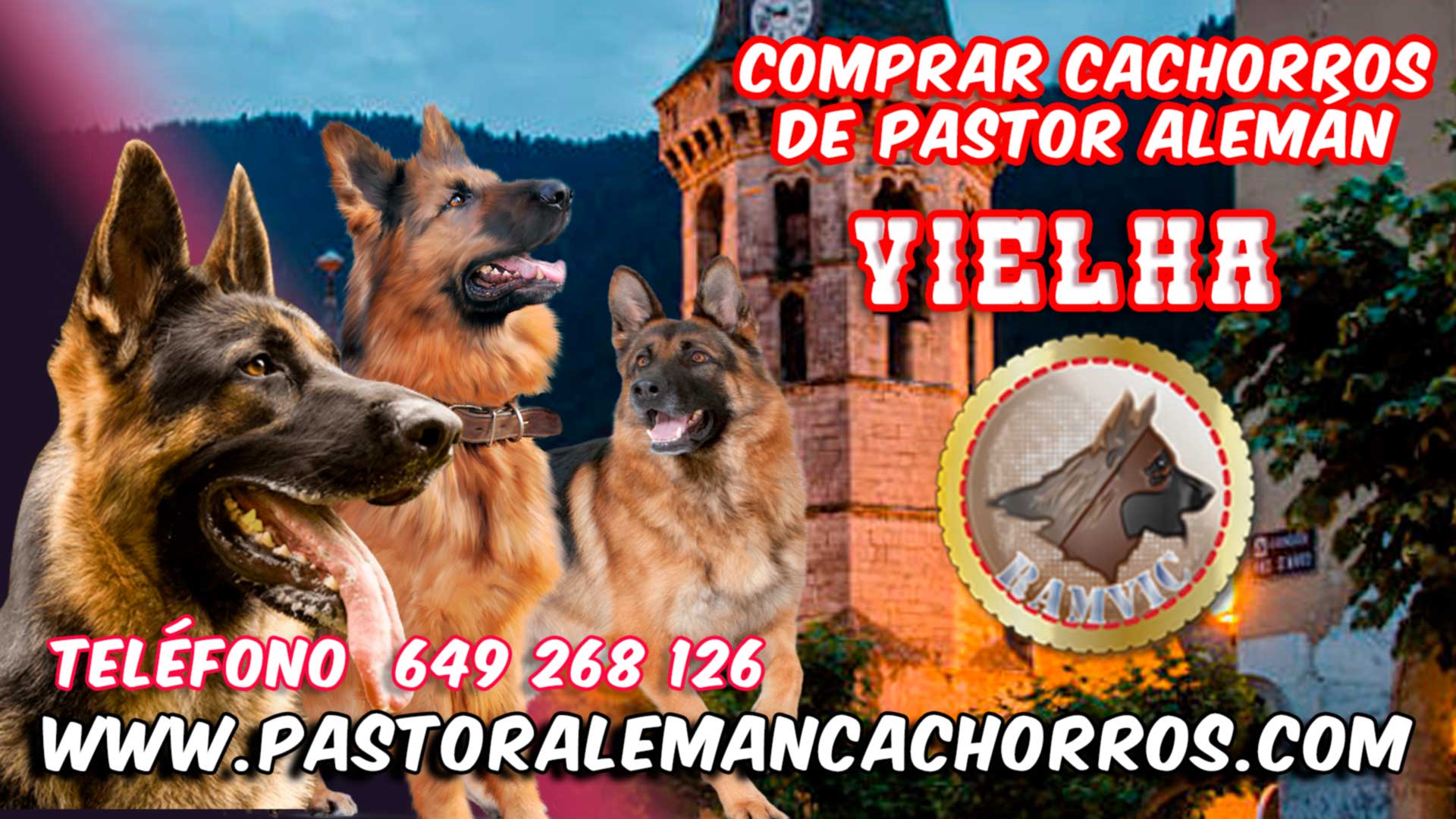 Comprar cachorros de Pastor Alemán en Viella