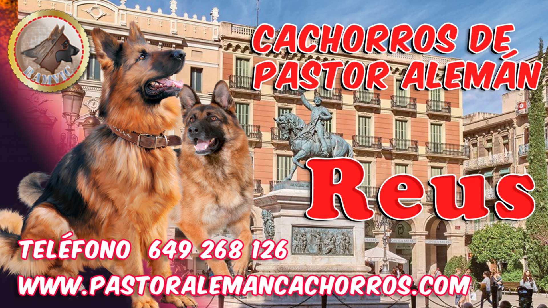 Comprar cachorros de Pastor Alemán en Reus