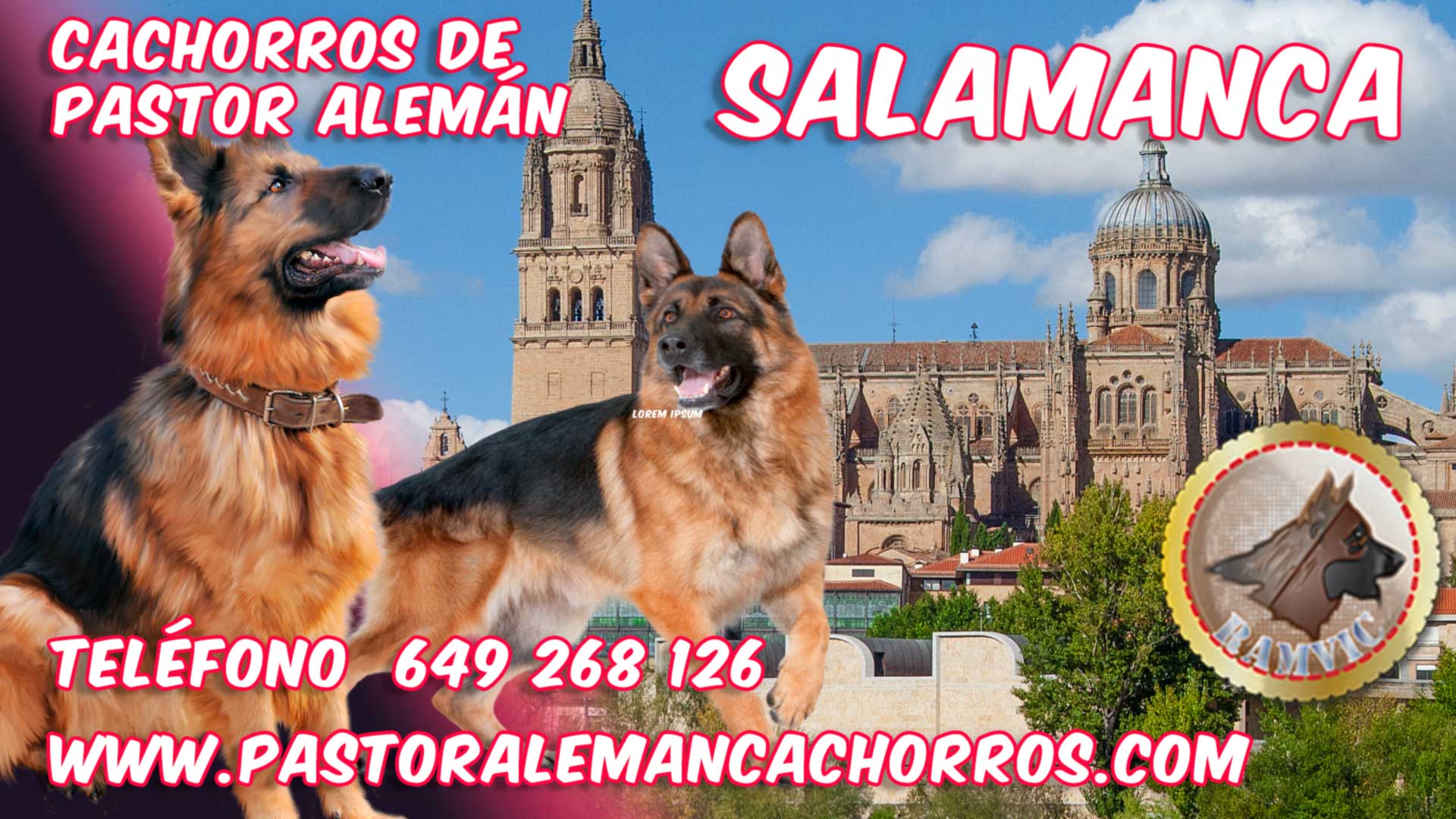 Comprar cachorros de Pastor Alemán en Salamanca