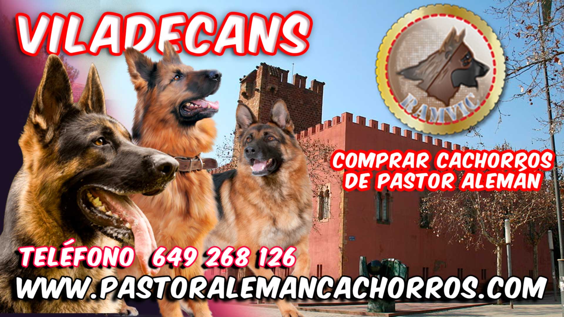 Comprar cachorros de Pastor Alemán en Viladecans