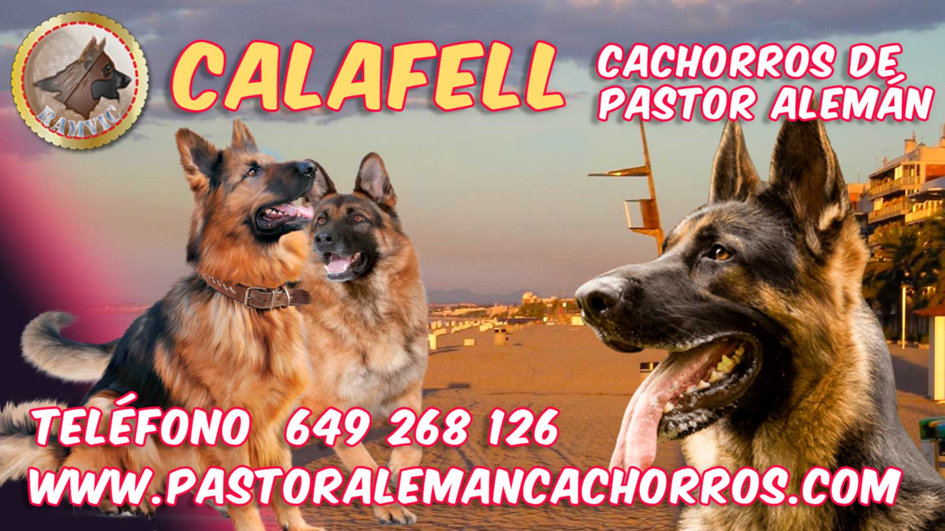 Comprar cachorros de Pastor Alemán en Calafell