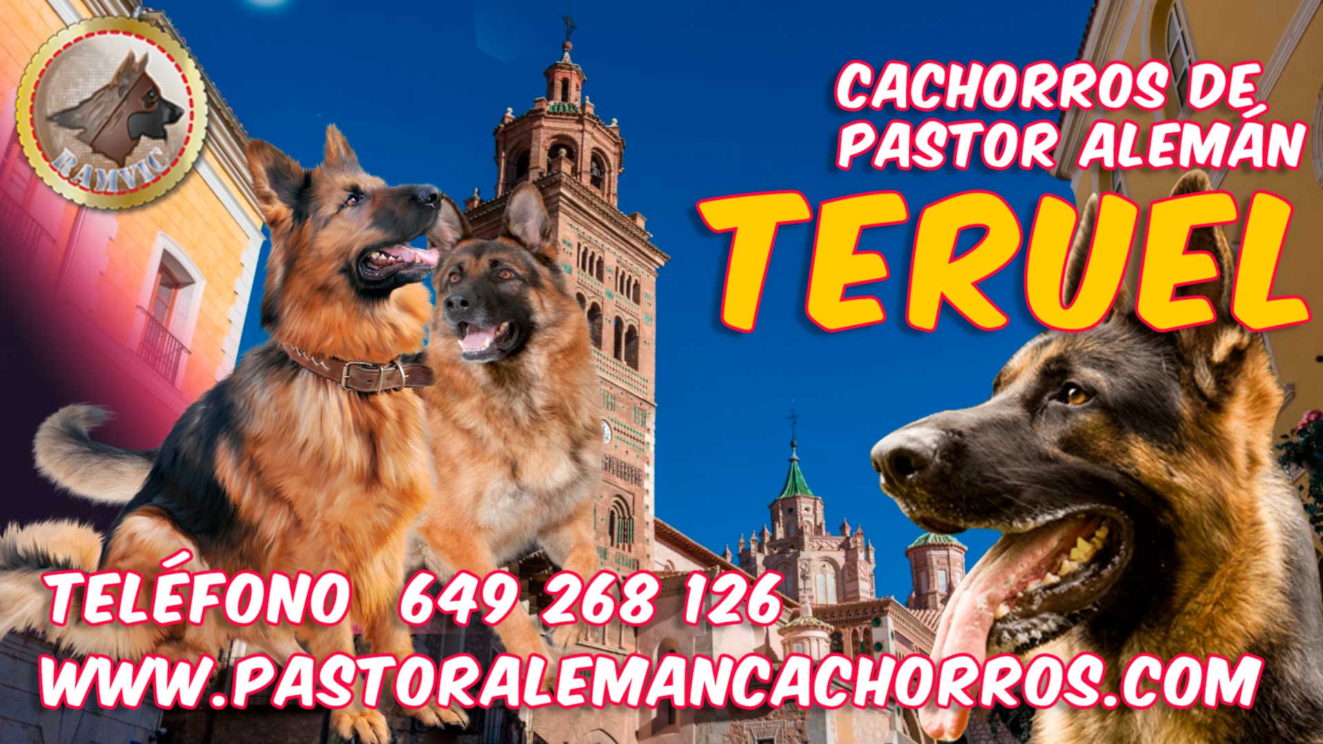 Comprar cachorros de Pastor Alemán en Teruel, Aragón.