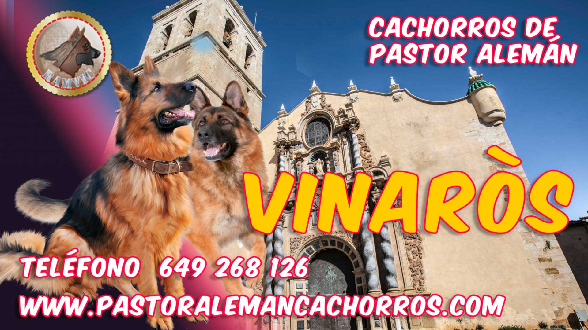 Comprar cachorros de Pastor Alemán en Vinaròs