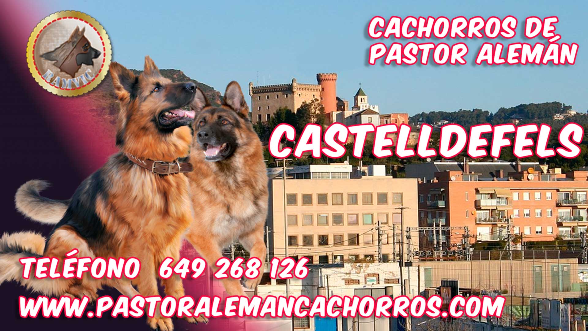Comprar cachorros de Pastor Alemán en Castelldefels