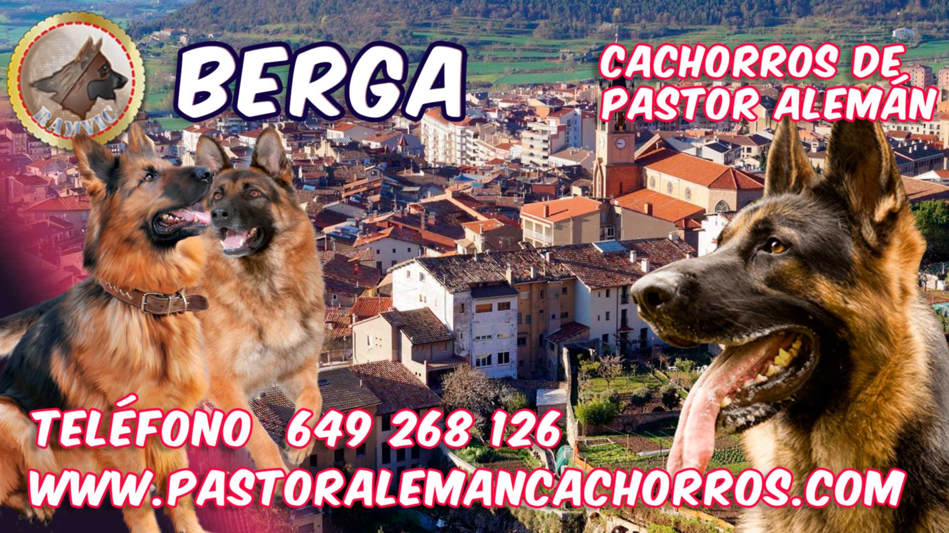 Cachorros de Pastor Alemán en Berga