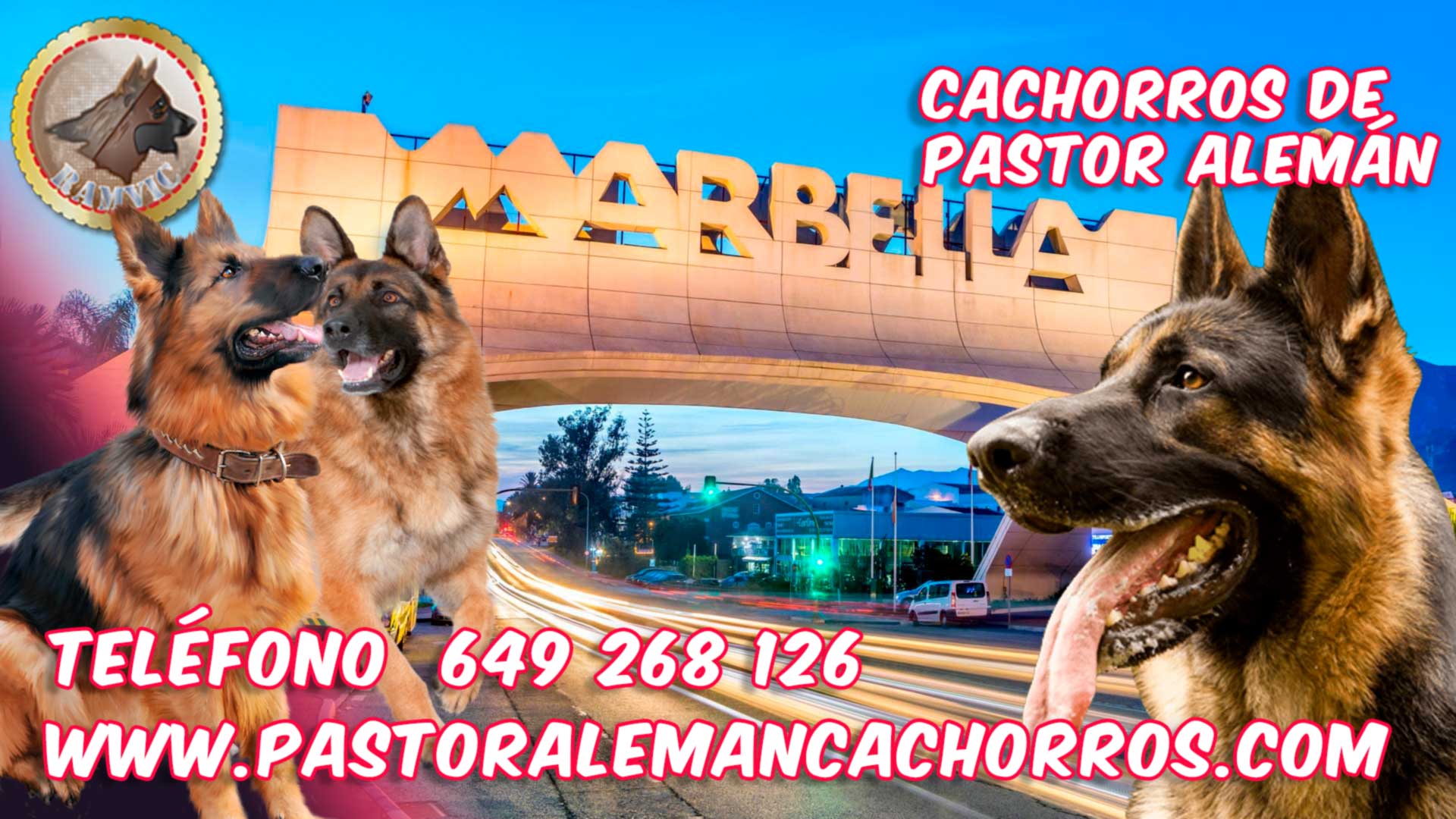 Cachorros de Pastor Alemán en Marbella