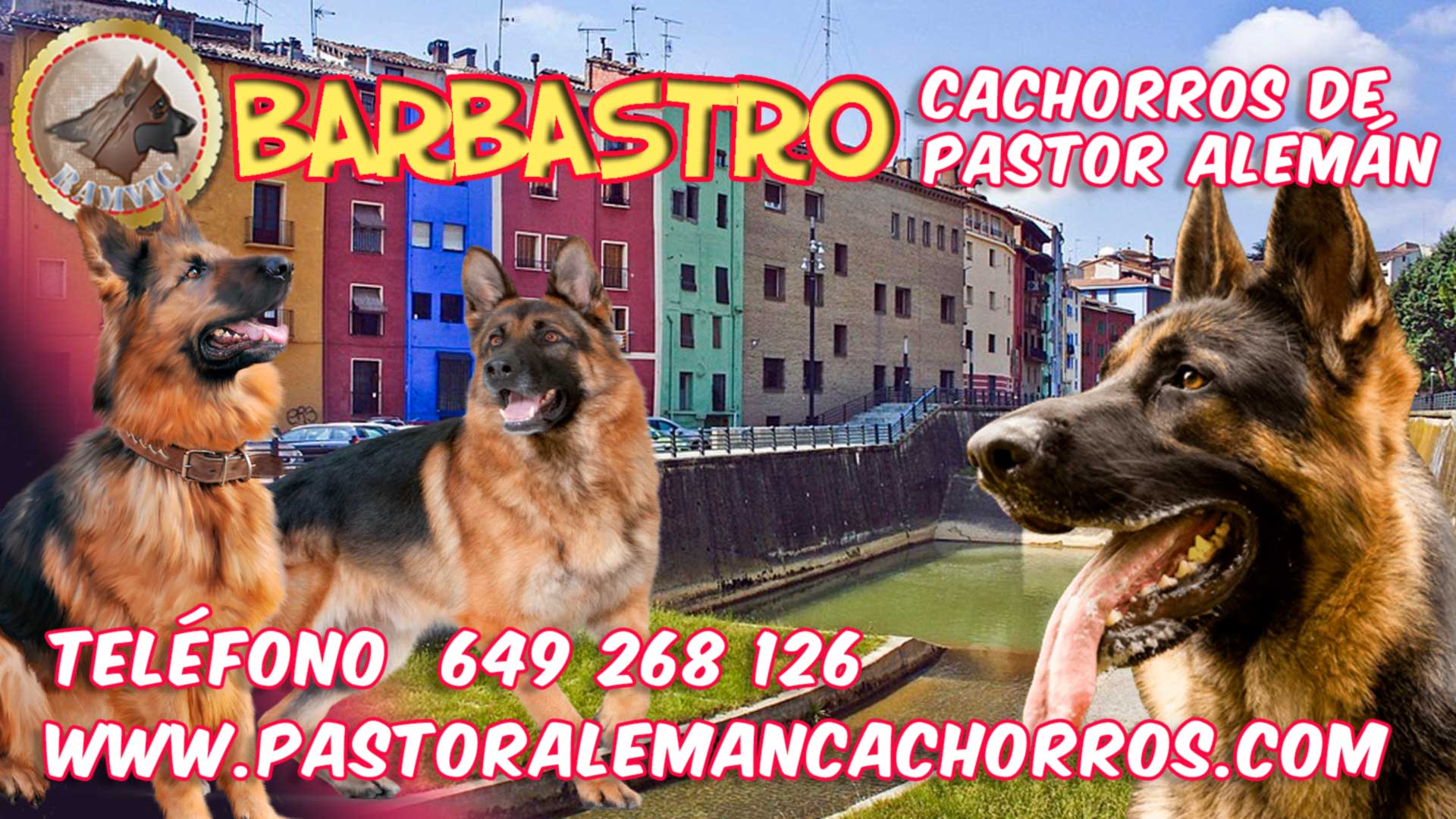 Cachorros de Pastor Alemán en Barbastro