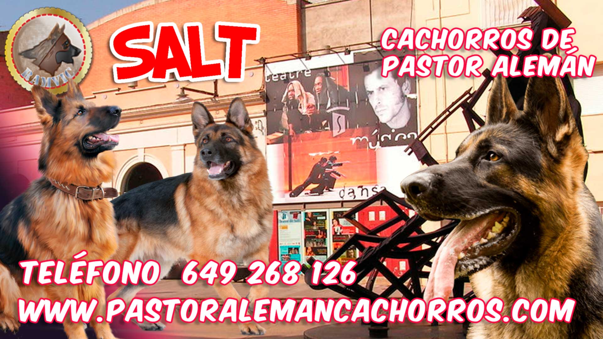 Comprar cachorros de Pastor Alemán en Salt