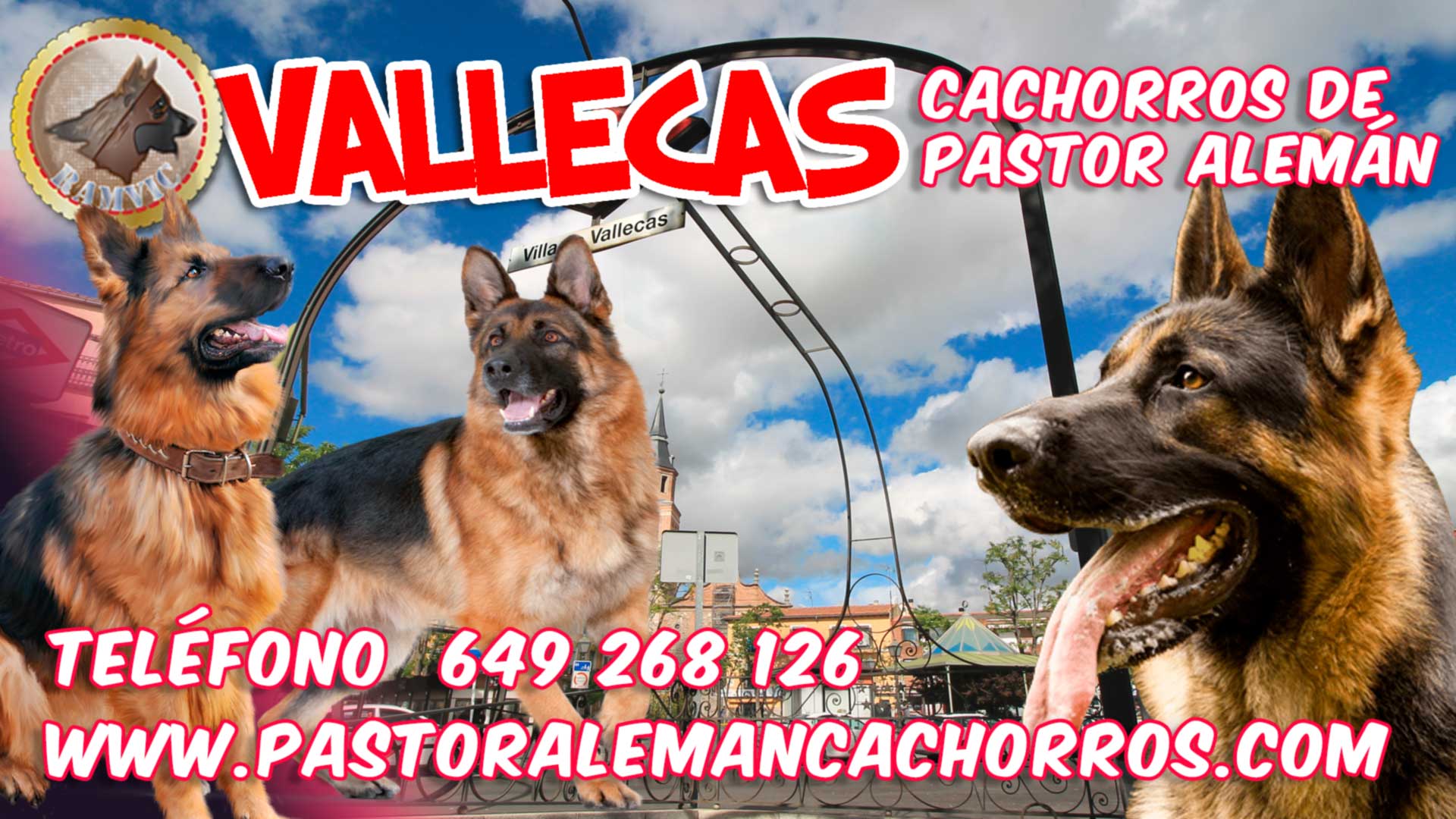 Comprar cachorros de Pastor Alemán en Vallecas