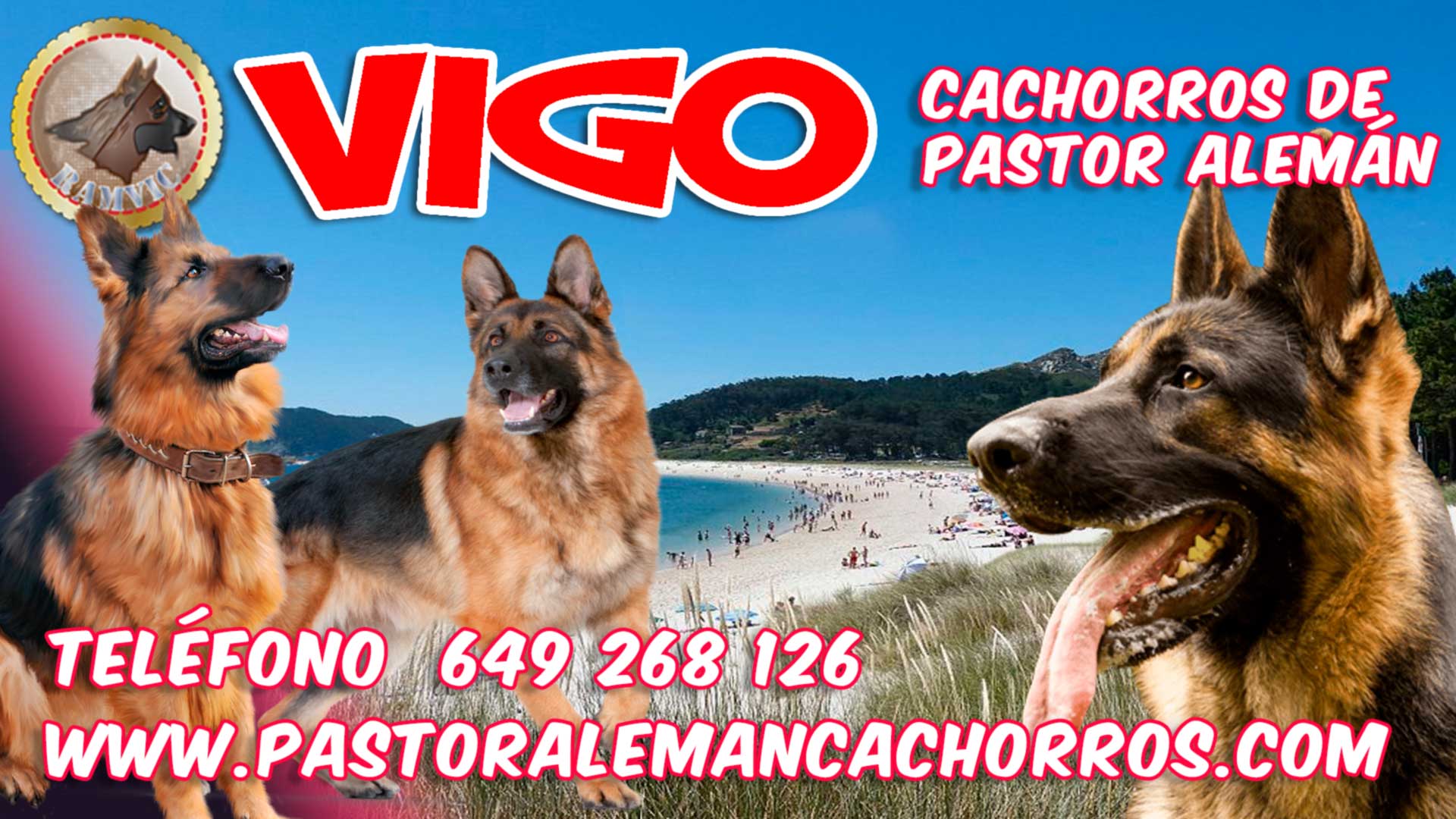 Comprar cachorros de Pastor Alemán en Vigo
