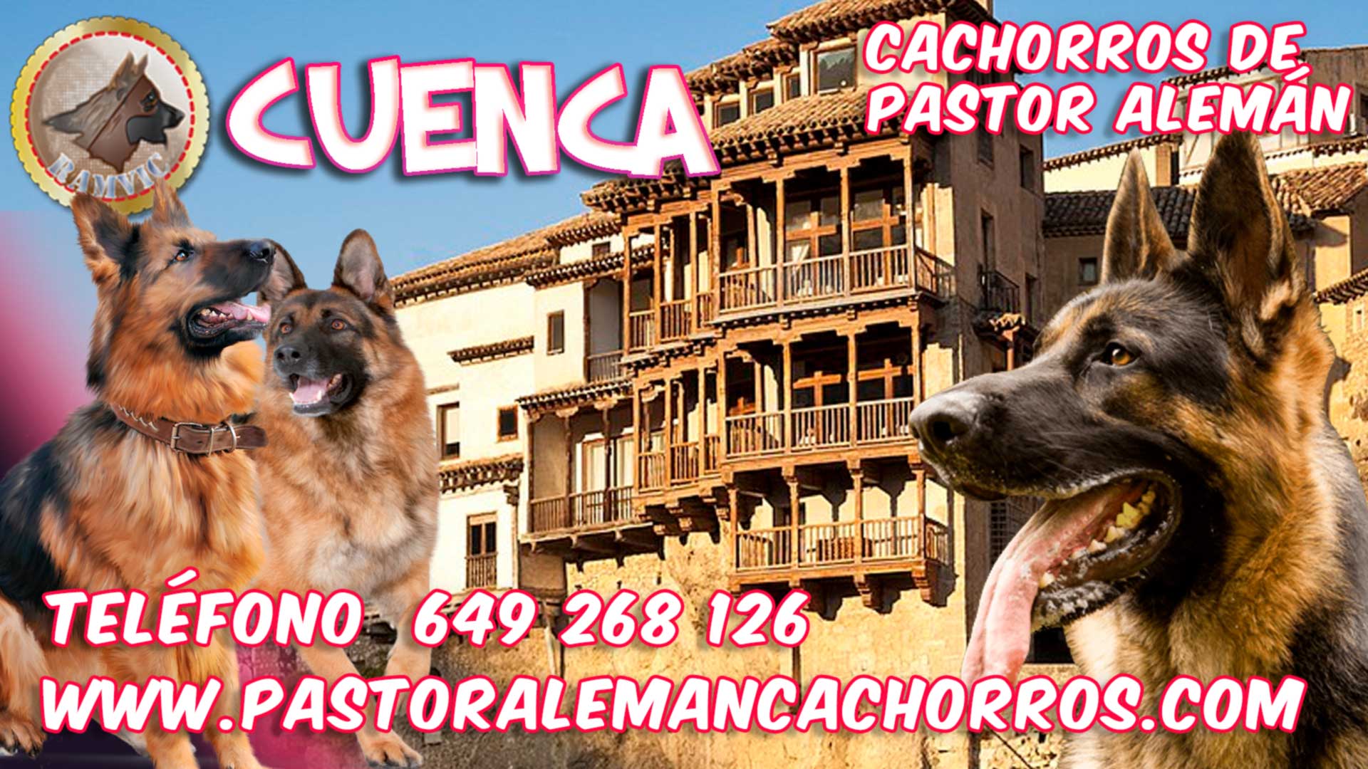 Comprar cachorros de Pastor Alemán en Cuenca