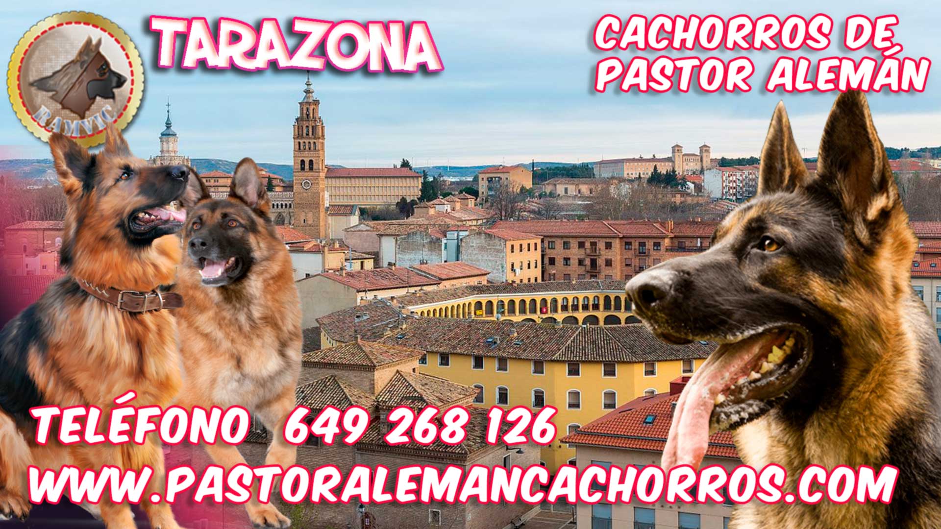Comprar cachorros de Pastor Alemán en Tarazona