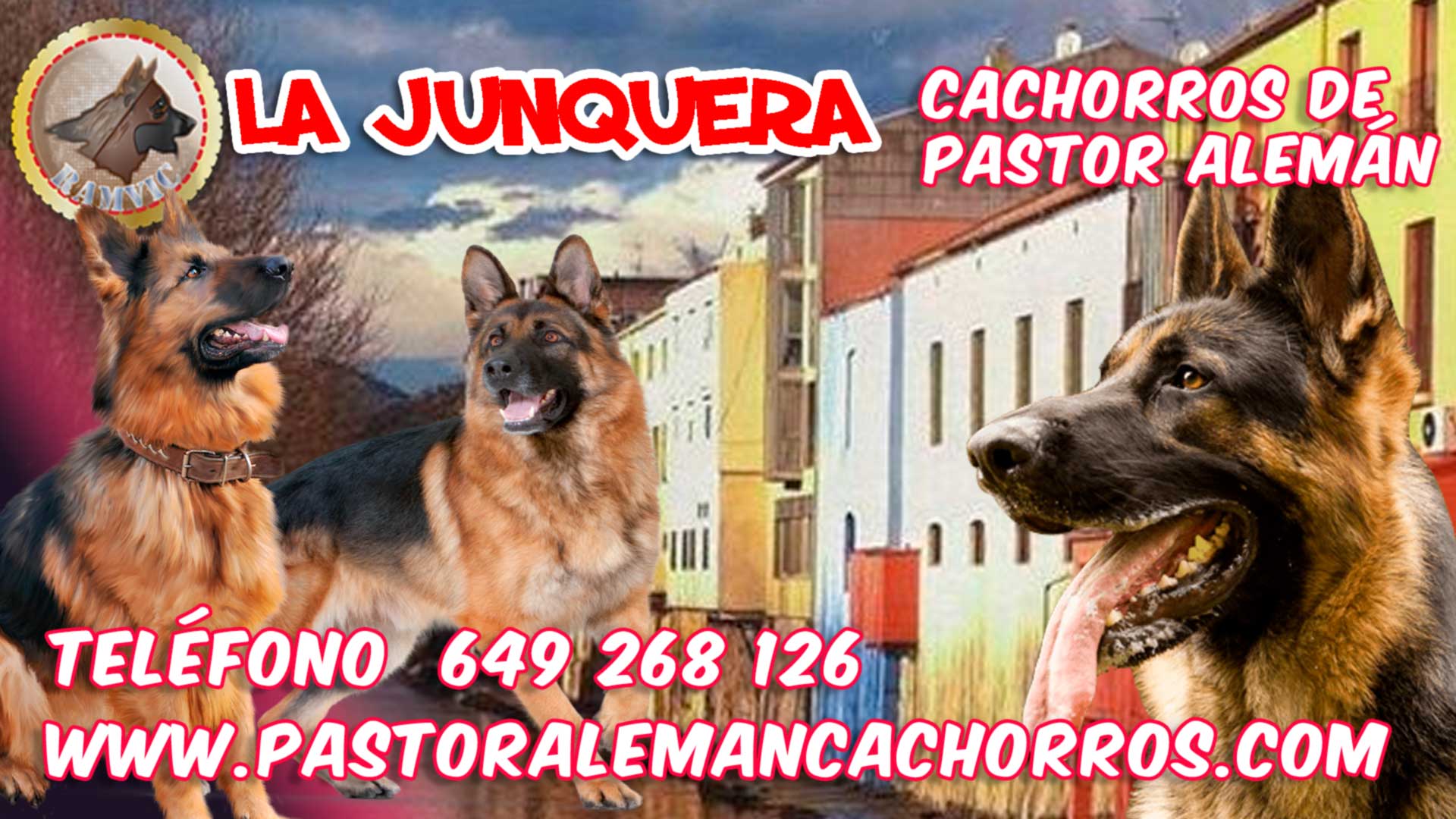 Comprar cachorros de Pastor Alemán en La Junquera