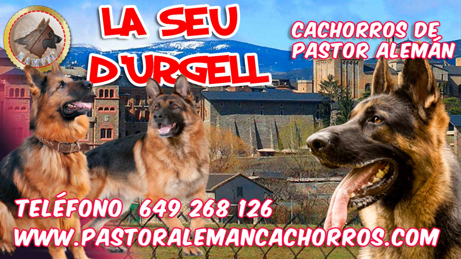 Comprar cachorros de Pastor Alemán en La Seu D'Urgell