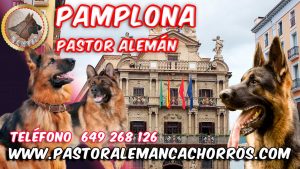 Comprar cachorros de Pastor Alemán en Pamplona