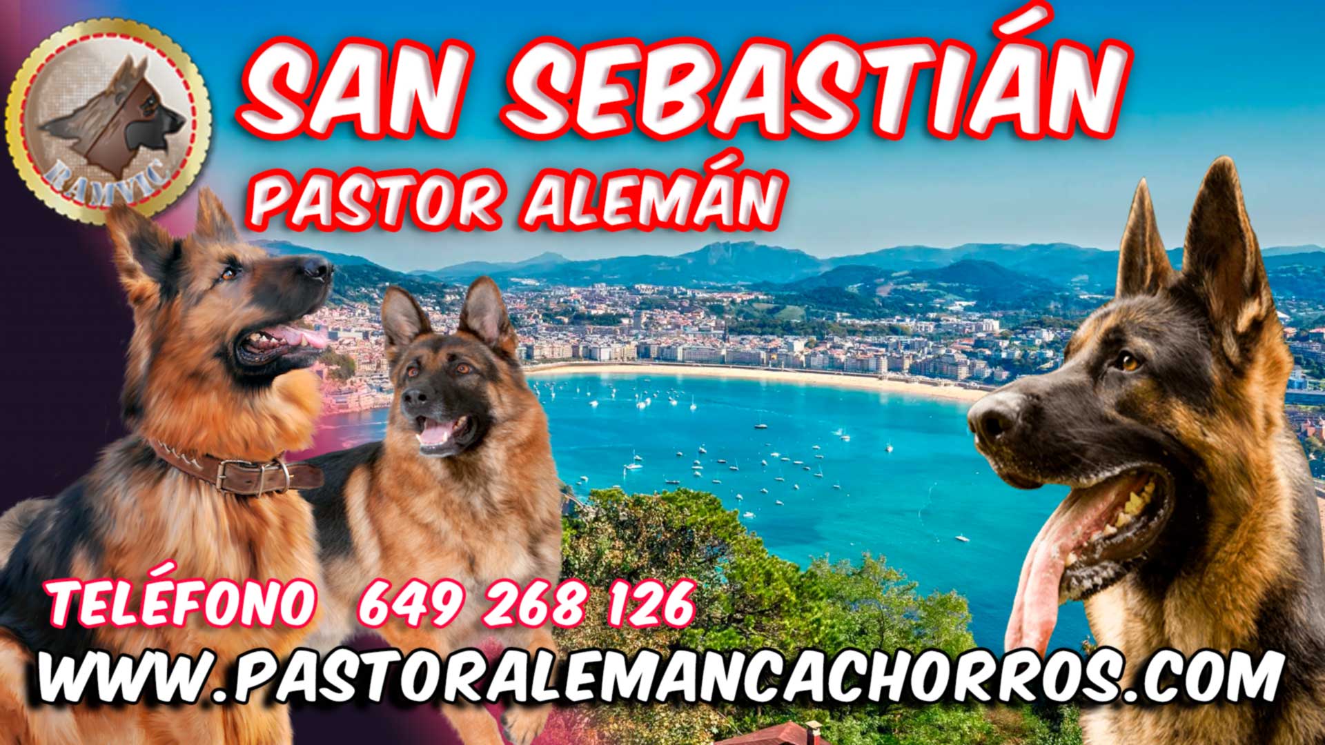 Comprar cachorros de Pastor Alemán en San Sebastián