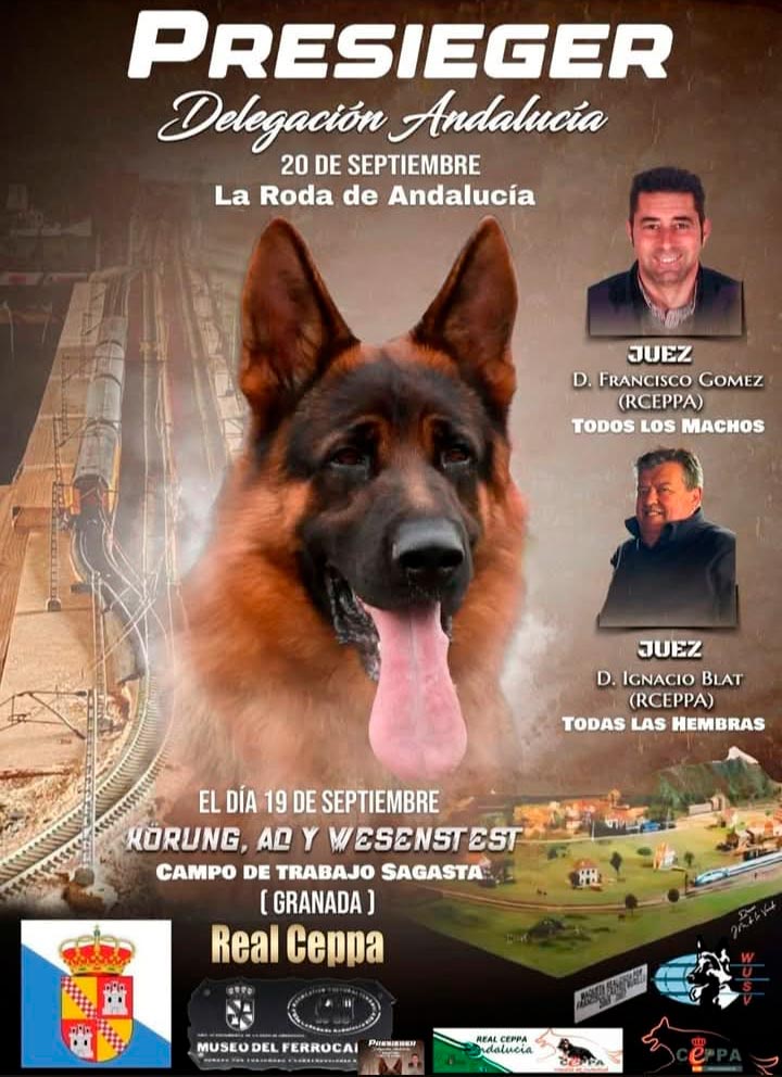 Presieger Andalucía 20 de septiembre 2026